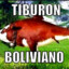 Tiburon Boliviano Asado