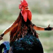 LA GALLINA FUMETA