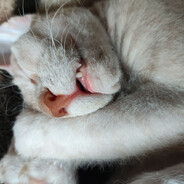 mur04ka - steam id 76561198969849011