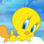 Tweety