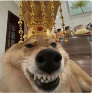 满山的猴子我腚最红