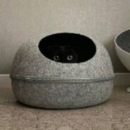 好员工 | goodstaff