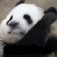 一个老实的农民