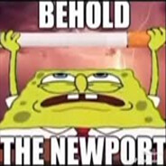 THE NEWPORT