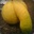 Limonady