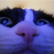 Møønłight