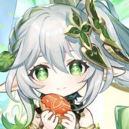 Cat Cherry Hydrangea