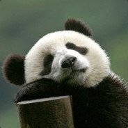 还是中文名好！