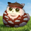 midan404