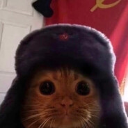 白日做梦小郎君