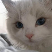 不用为我难为情