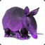 Purple Armadillo