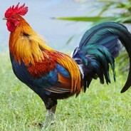 3.14dorok x 1488 km peek