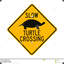 Warnschildkröte