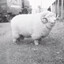 unit