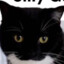 unserious sillymaxxer