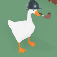 Goose7o