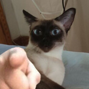 不年轻也倒头就睡