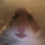 Neovlk