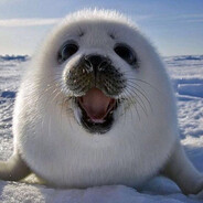 опорник лоутаба