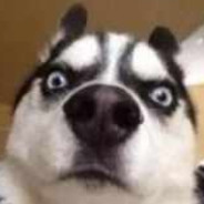 ♠                          Th