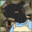 txuba txuba skins