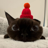 I have a big fucking dick