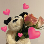 飞檐走壁小乌龟