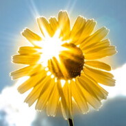SUNSHINE - steam id 76561197962169800