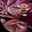Sauthion avatar