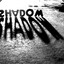 Shadow