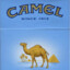 camel blue