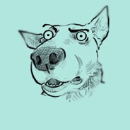 charz185 avatar
