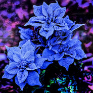 Avatar snapshot
