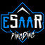 eSaaR | PingDing