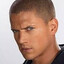 michael scofield