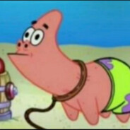 比奇堡第一骚猪派大猪