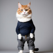cat
