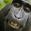 Abdi from congo