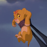 simba.18