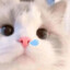 Ed