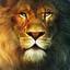 King _Lion