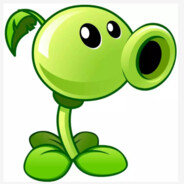 Mr.He
