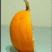 Halfofpumpkin
