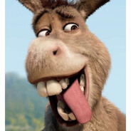 Donkey