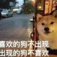 爱我你就抱抱我