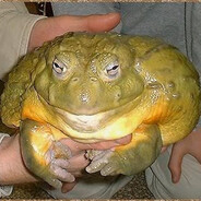 CrzFlerken