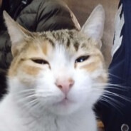 BACBOZGI