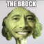 THE BROOCK