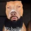 Pitbullah